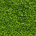 1.000 Perler Beads - Fern