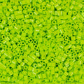 1.000 Perler Beads - Prickly Pear
